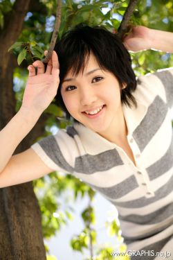 欧颜司夜辰小说免费